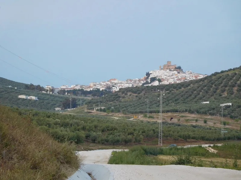 Klicka för att förstora