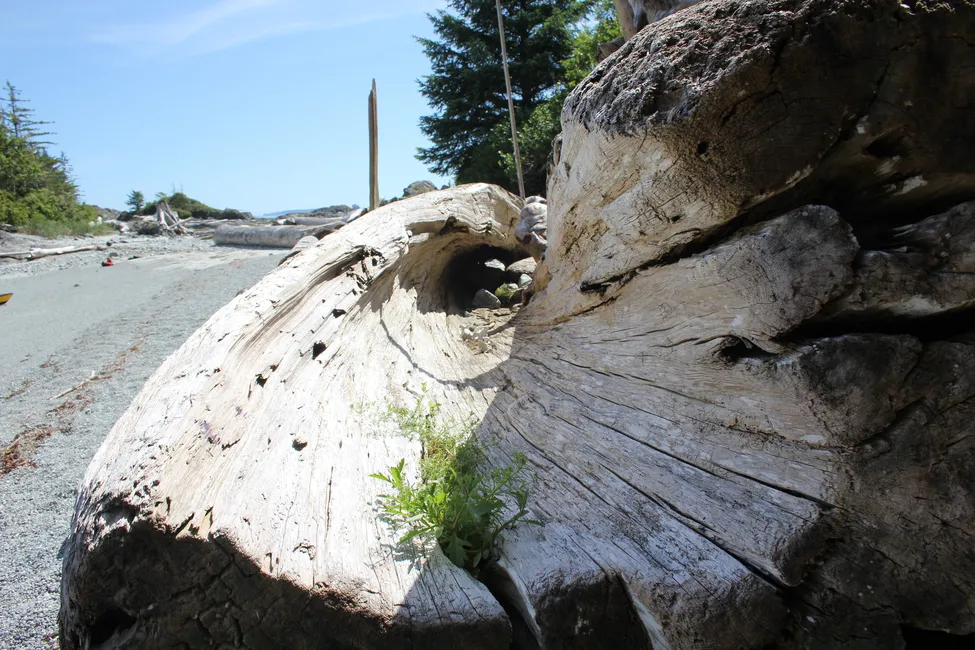 Klicka för att förstora
