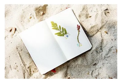 Hur dokumenterar du dina turer?