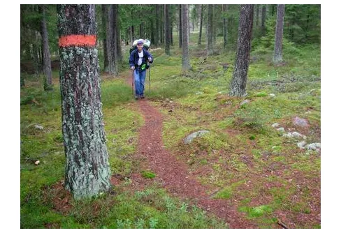 Höstvandring i Kolmården
