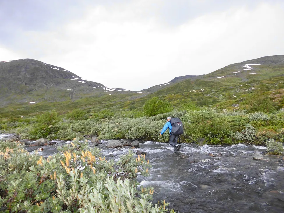 Klicka för att förstora