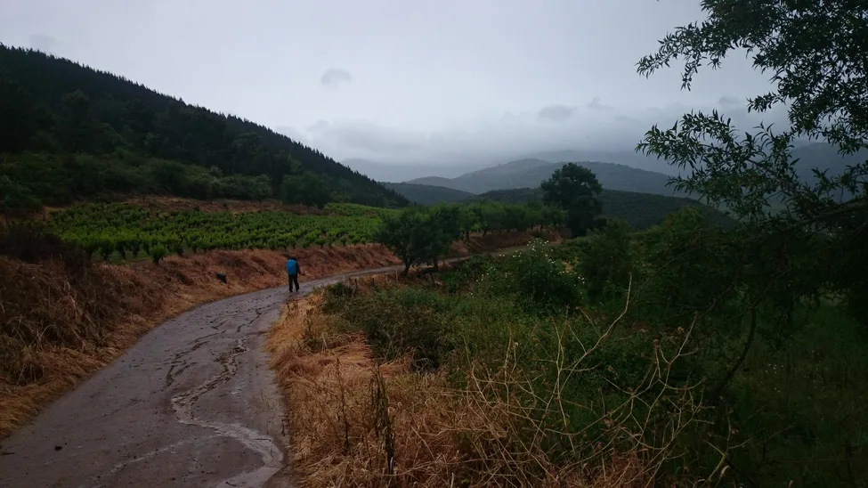 Klicka för att förstora