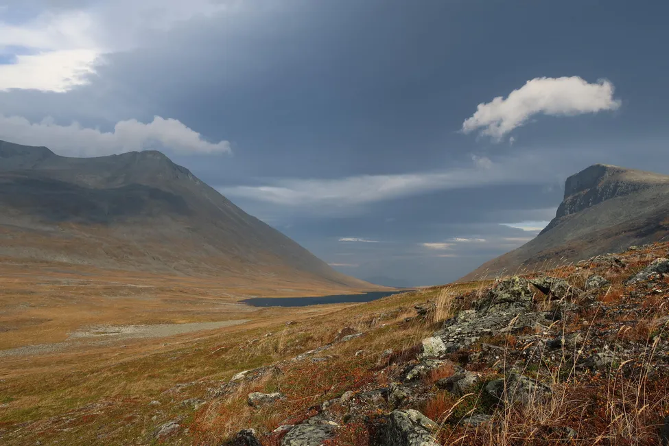 Klicka för att förstora