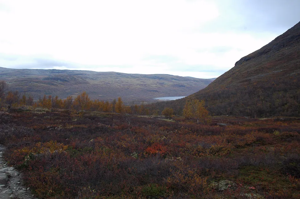 Klicka för att förstora