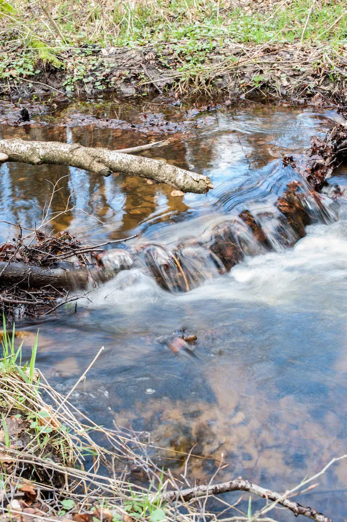 Klicka för att förstora