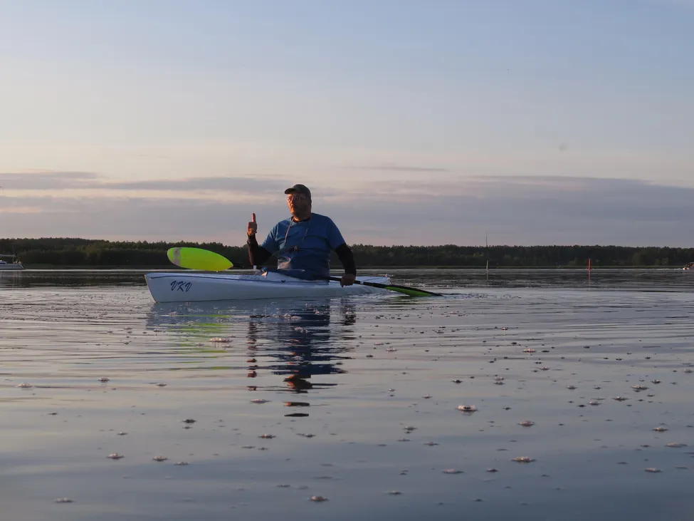 Klicka för att förstora