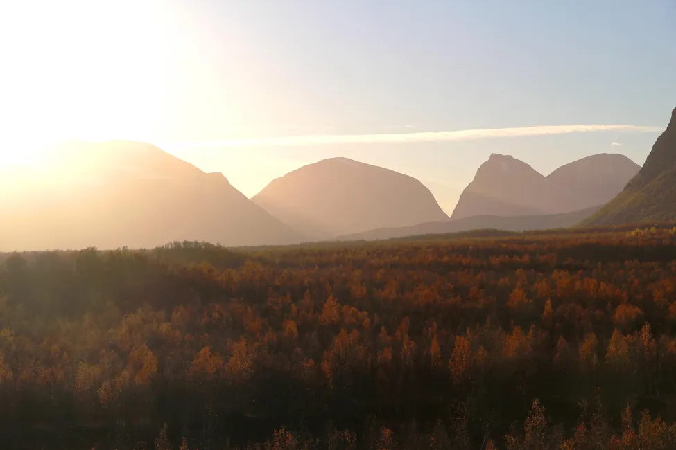 Klicka för att förstora