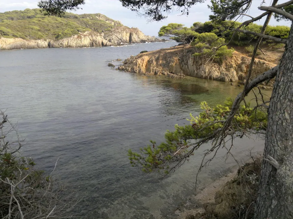 Klicka för att förstora