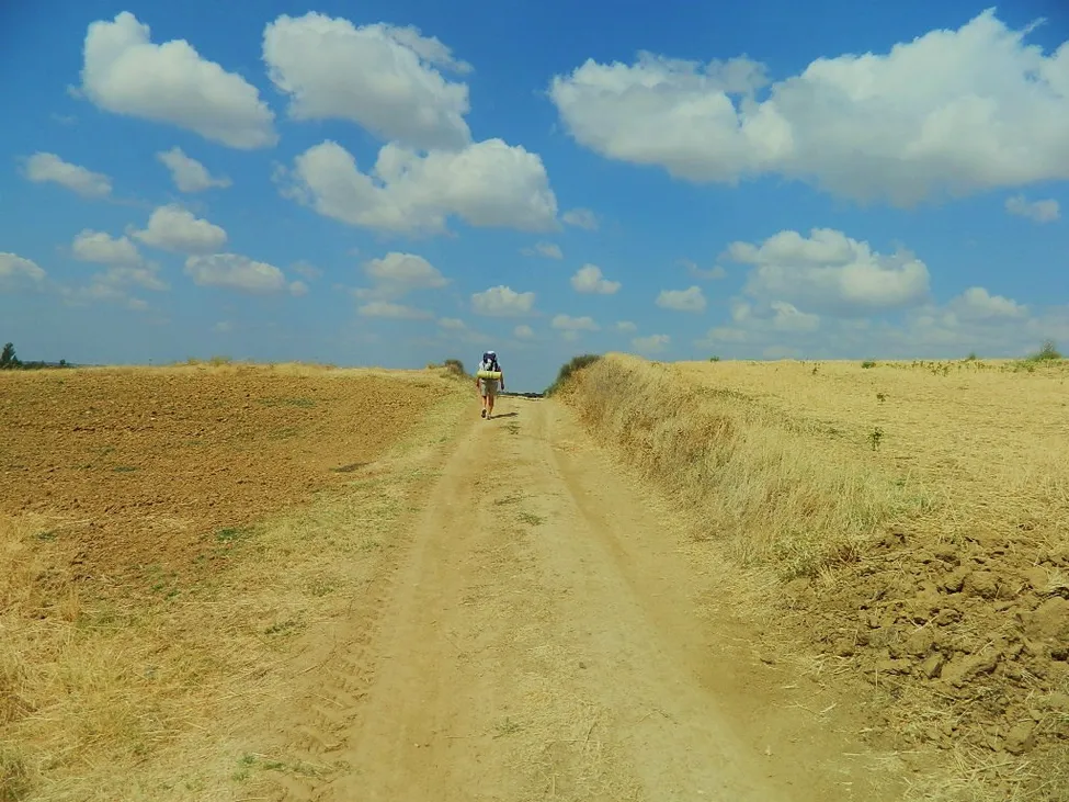 Klicka för att förstora