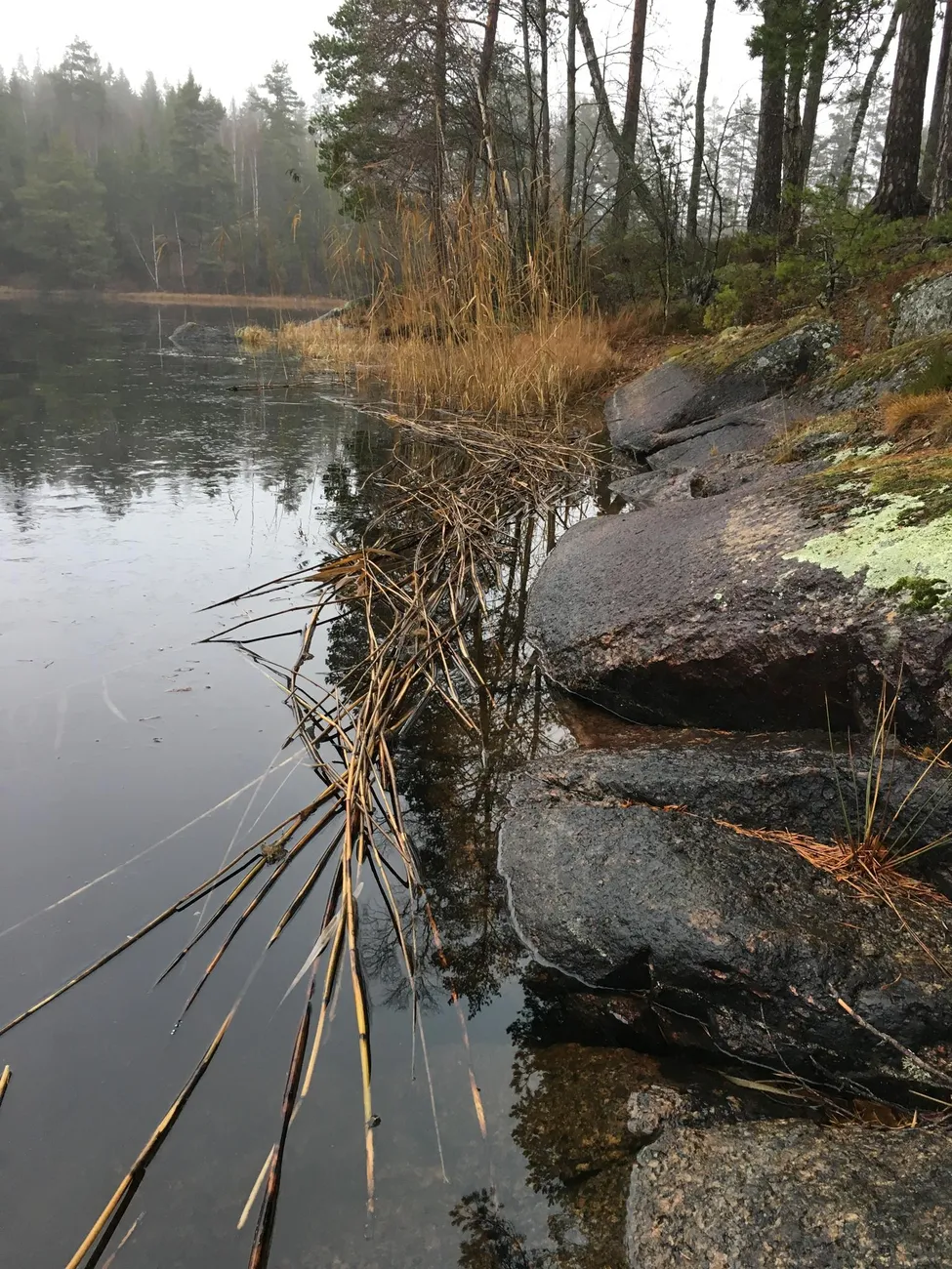 Klicka för att förstora