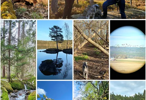 200+ naturreservat – min pågående utmaning