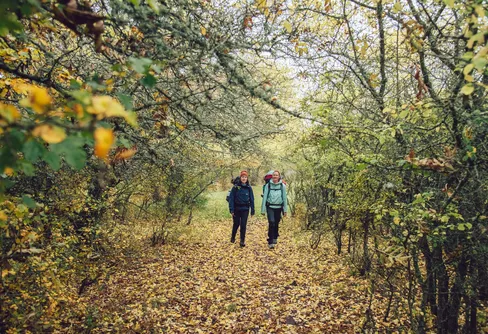 Månadens fråga: Hösten är här – vad lockar mest?