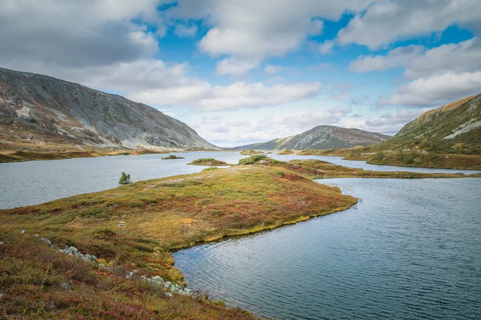 Klicka för att förstora