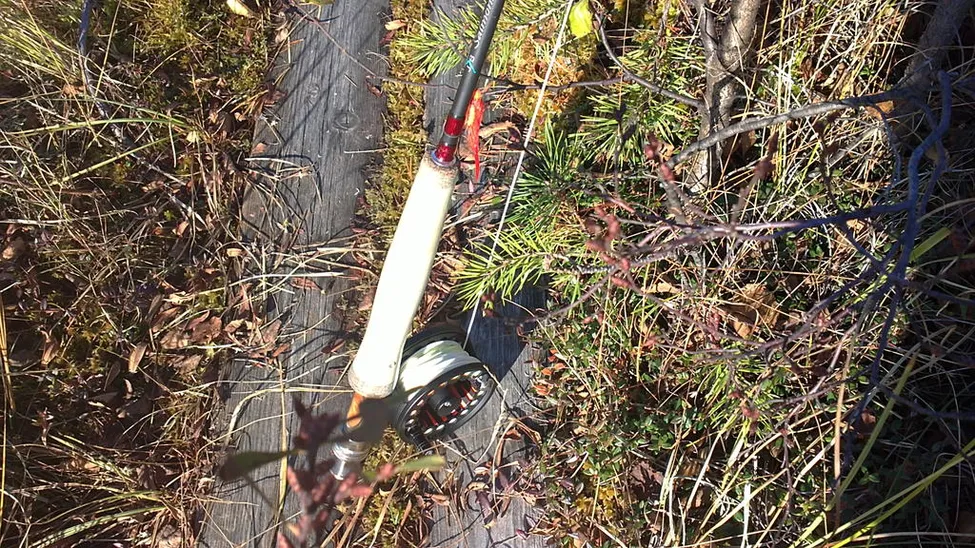 Klicka för att förstora