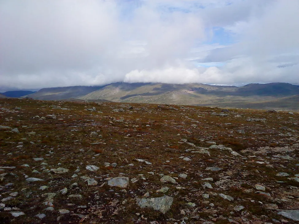 Klicka för att förstora