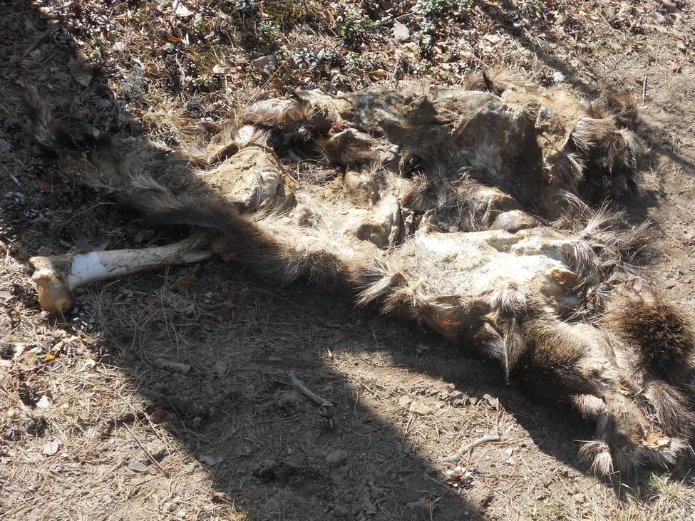 Klicka för att förstora