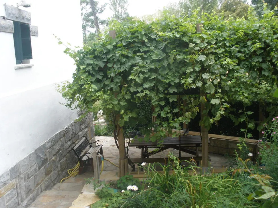 Klicka för att förstora