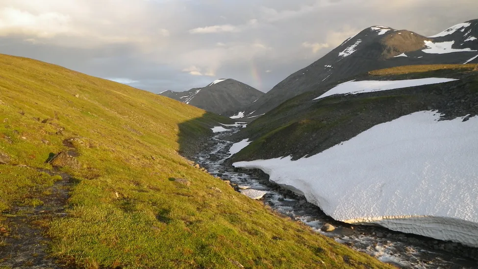 Klicka för att förstora