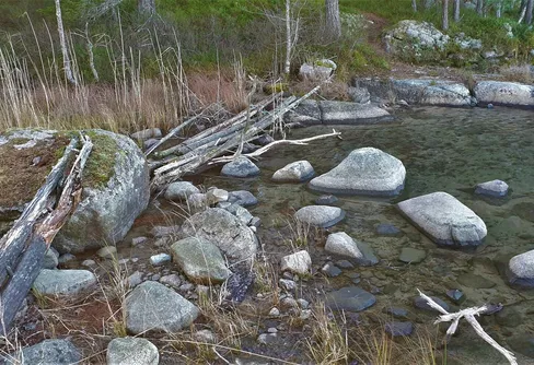 Utnäset naturreservat