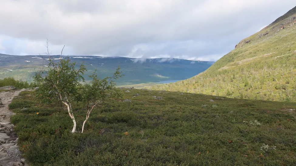 Klicka för att förstora