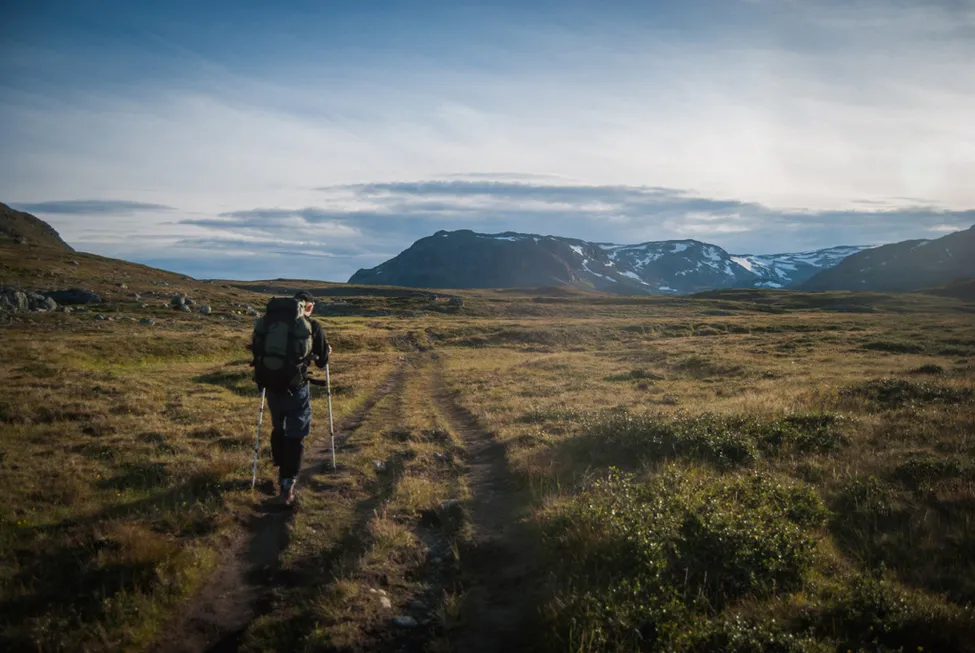 Klicka för att förstora