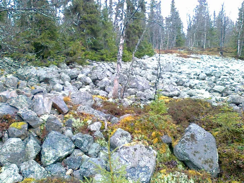 Klicka för att förstora