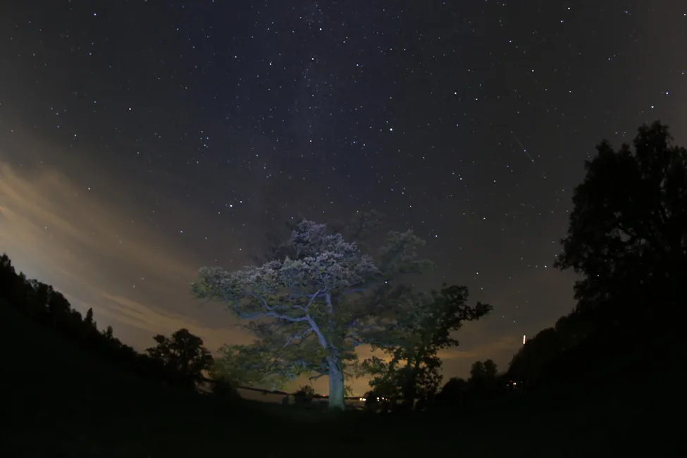 Klicka för att förstora