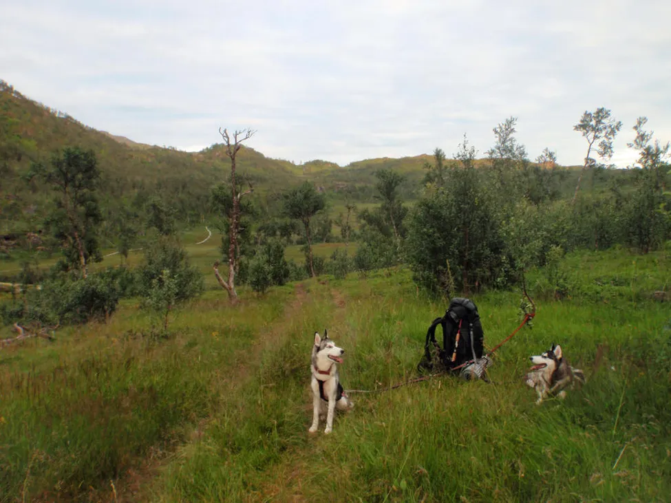 Klicka för att förstora