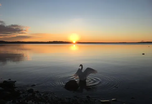 När juldagsmorgon glimmar