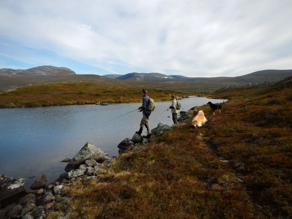 Klicka för att förstora
