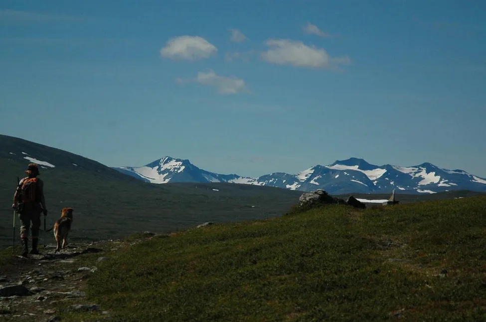 Klicka för att förstora