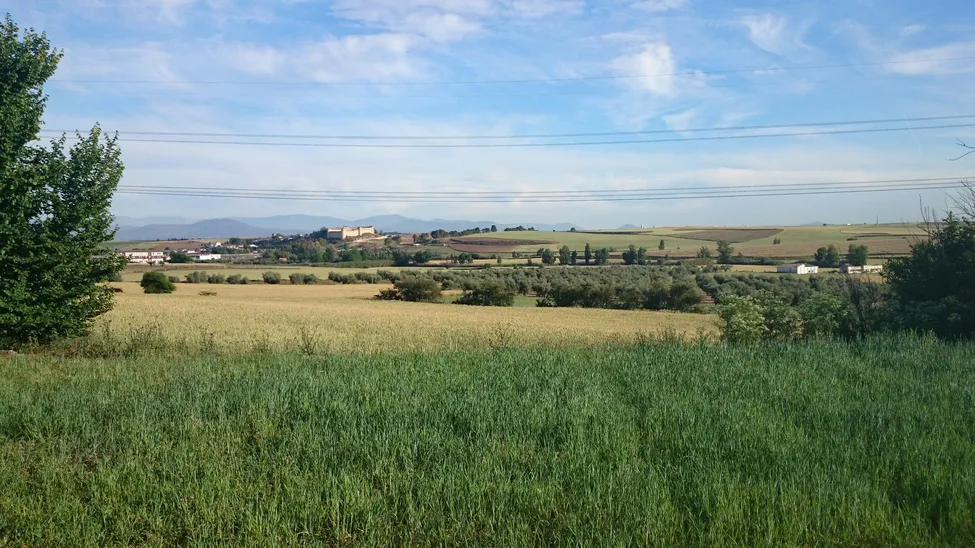 Klicka för att förstora