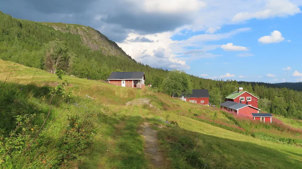 Klicka för att förstora