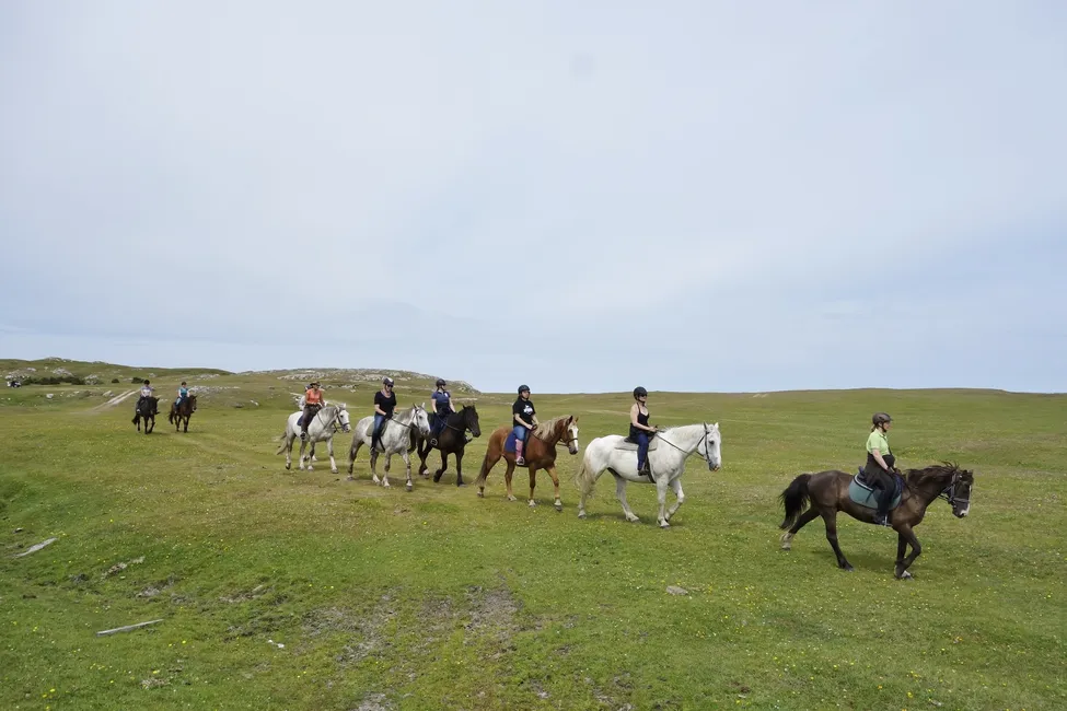 Klicka för att förstora