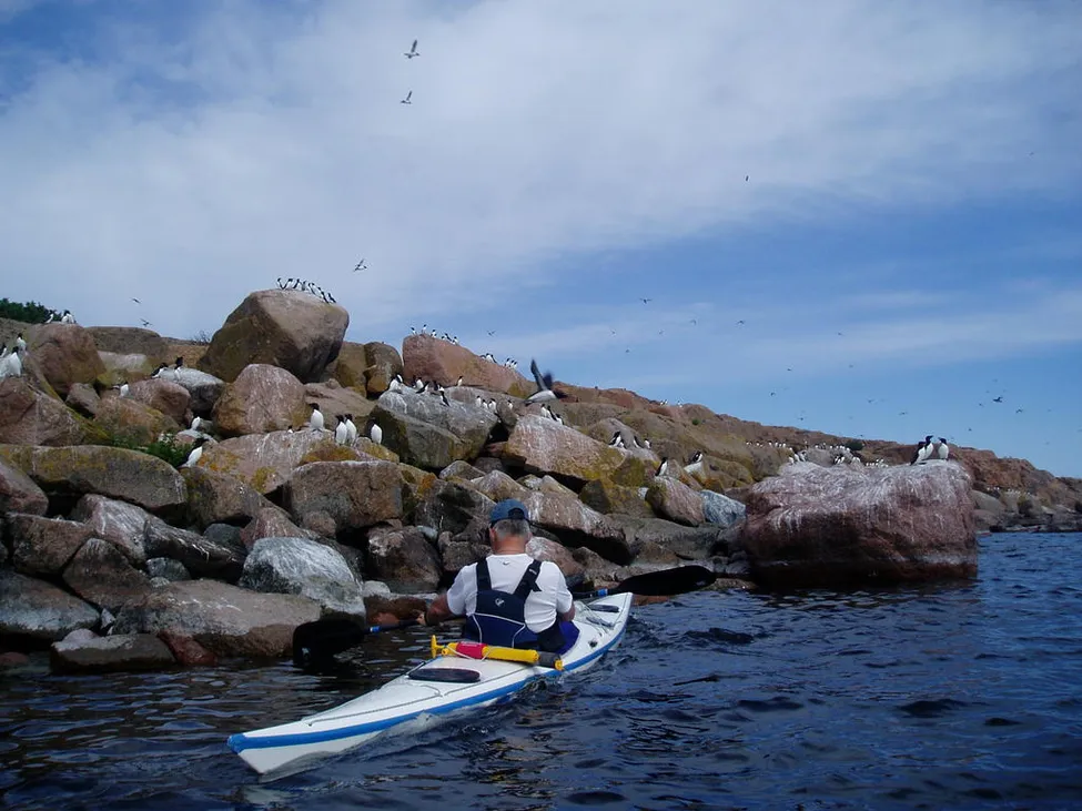 Klicka för att förstora