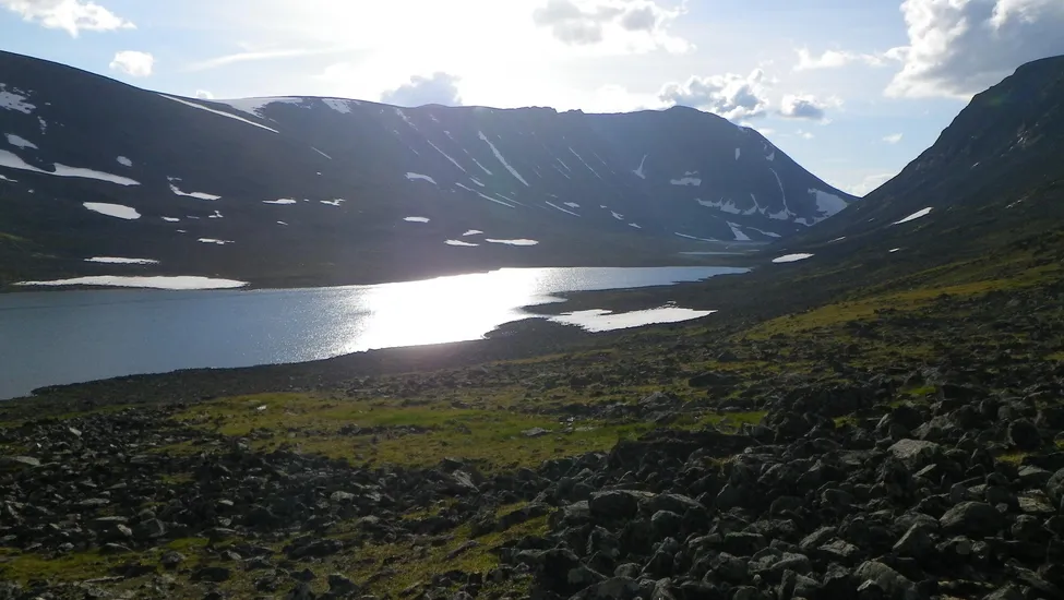 Klicka för att förstora