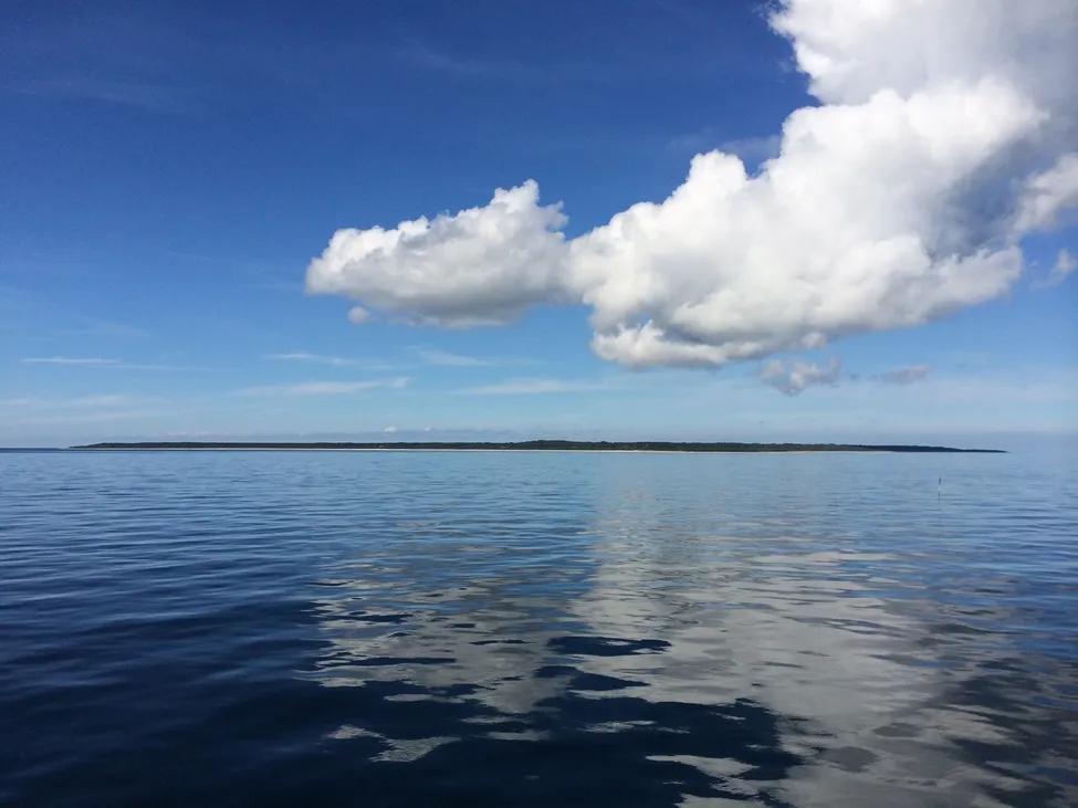 Klicka för att förstora