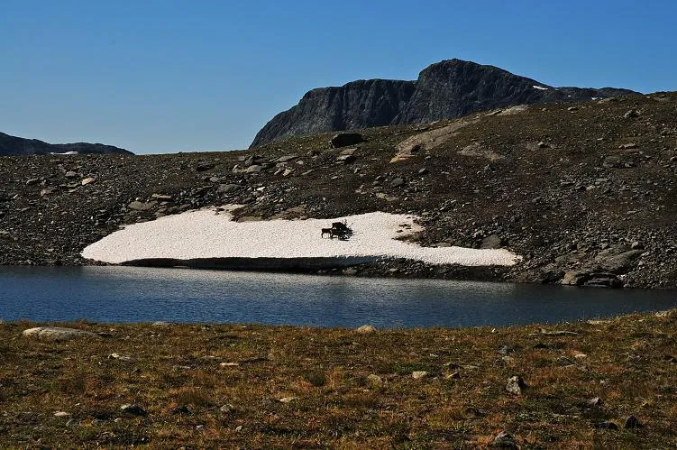 Klicka för att förstora