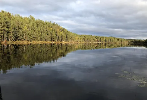 Friluftslivets år 2021 har fått projektledare