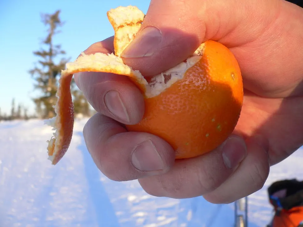 Klicka för att förstora