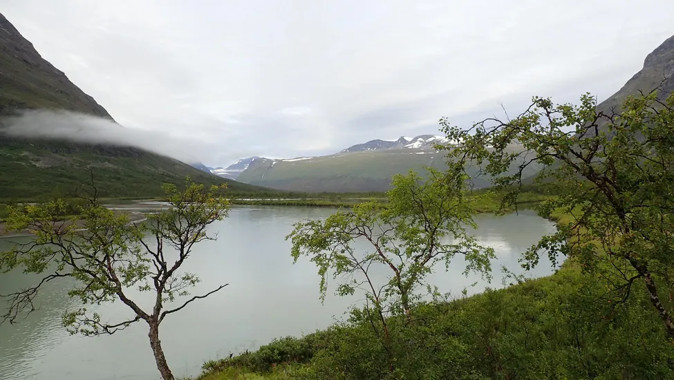 Klicka för att förstora