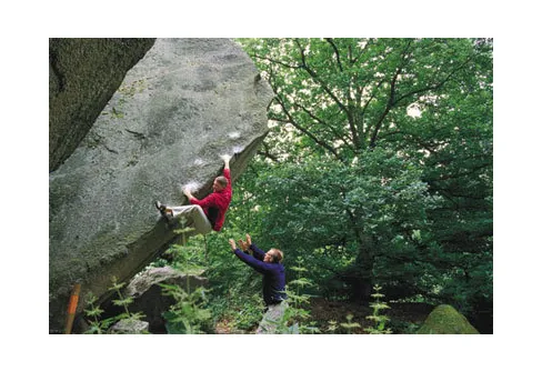 Kjugekull - brant i platta Skåne
