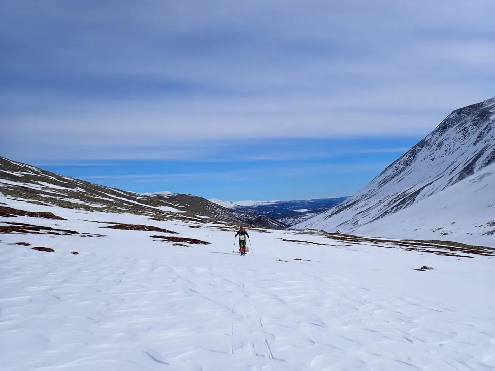 Klicka för att förstora