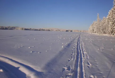 det är myggfrit i koskats