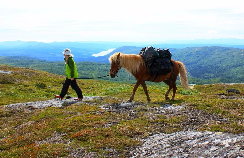 Klicka för att förstora