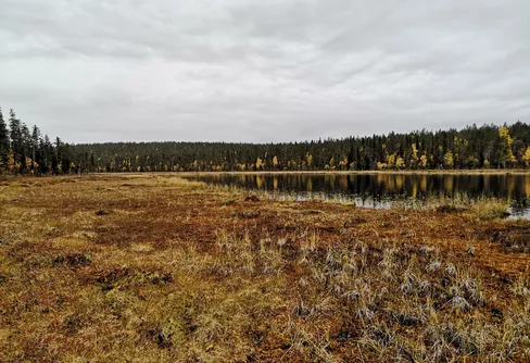 Muddus - fram till Muttoslouppal