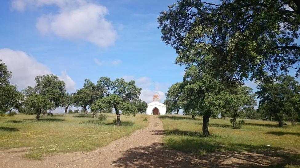 Klicka för att förstora