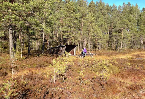 Vad gör du i helgen?