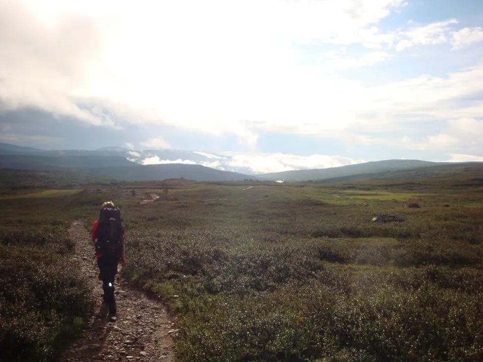 Klicka för att förstora