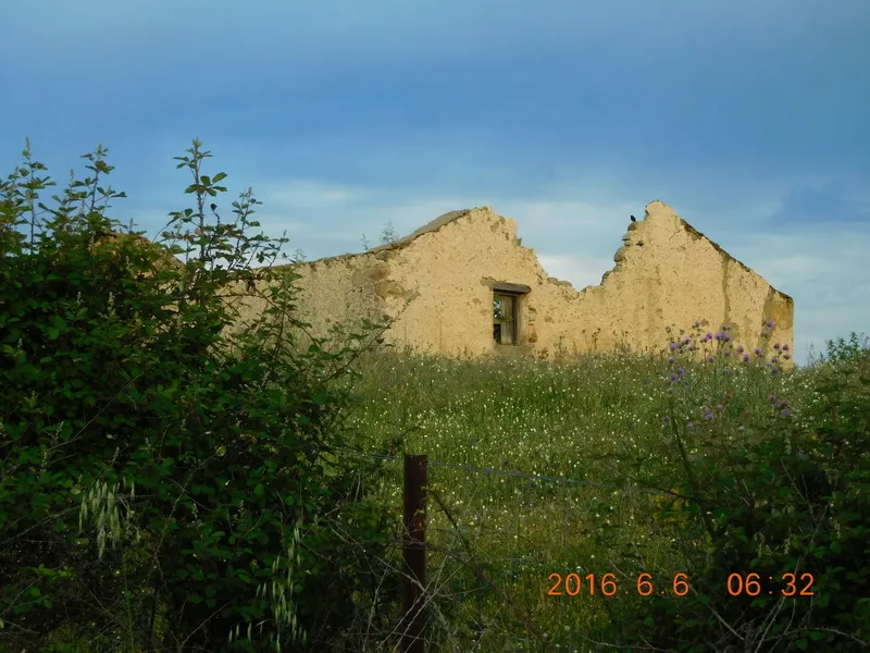 Klicka för att förstora